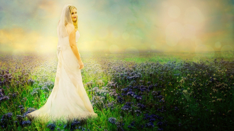 Wedding Manipulation